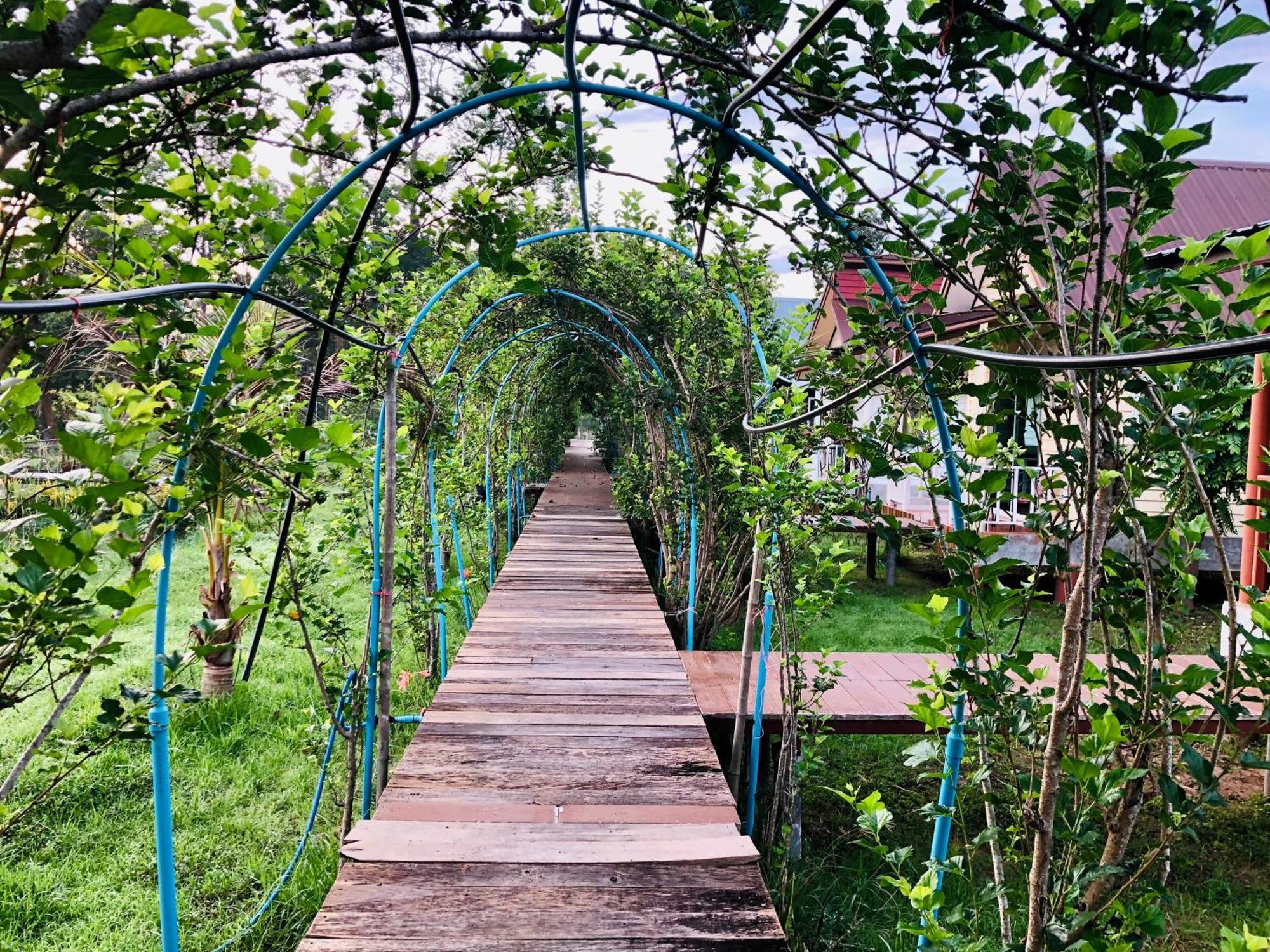 Baan Thung Home Stay Prasat Exterior foto