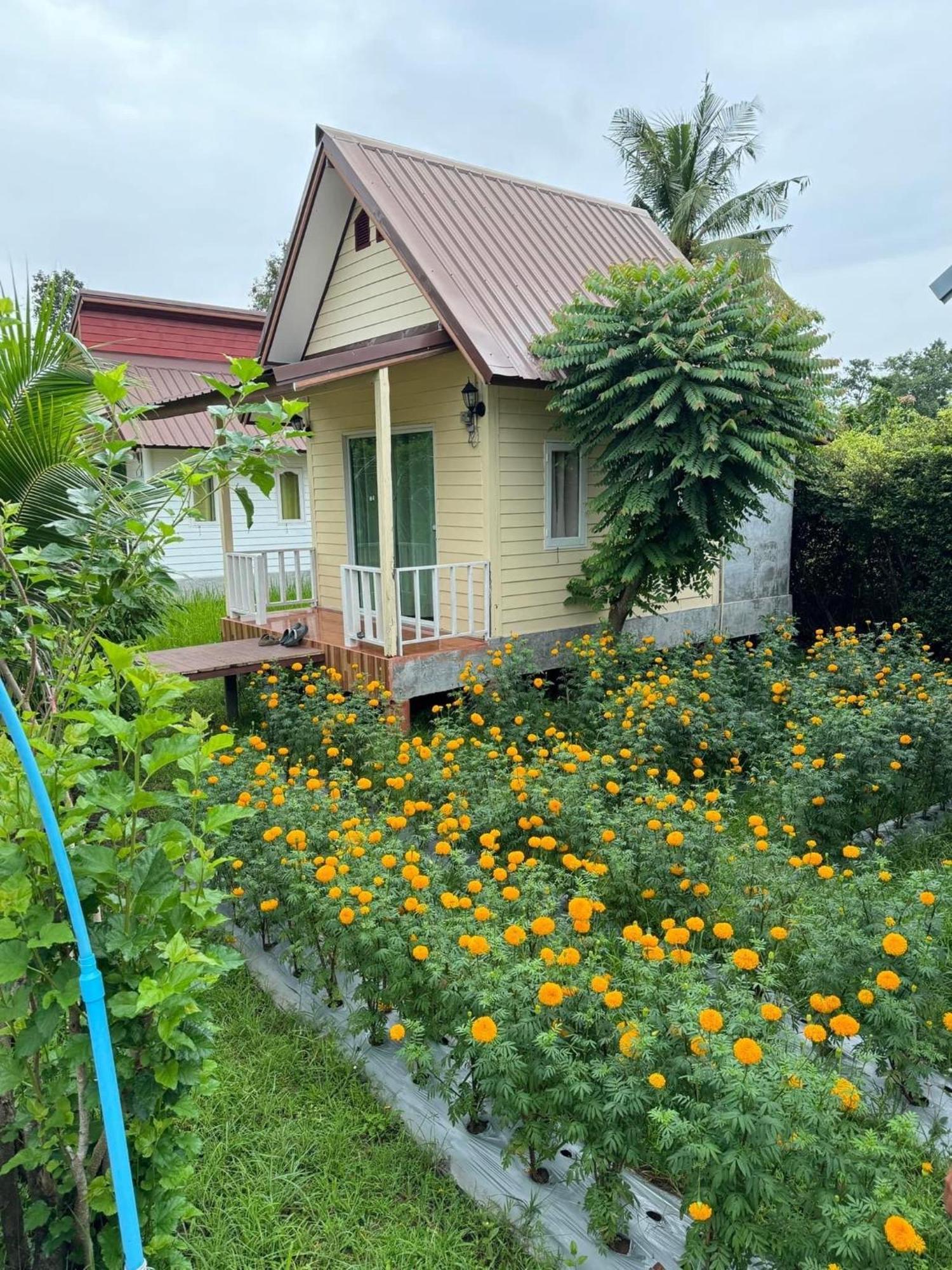 Baan Thung Home Stay Prasat Exterior foto