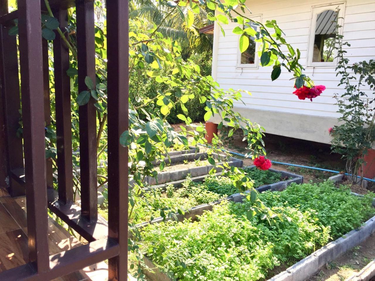 Baan Thung Home Stay Prasat Exterior foto