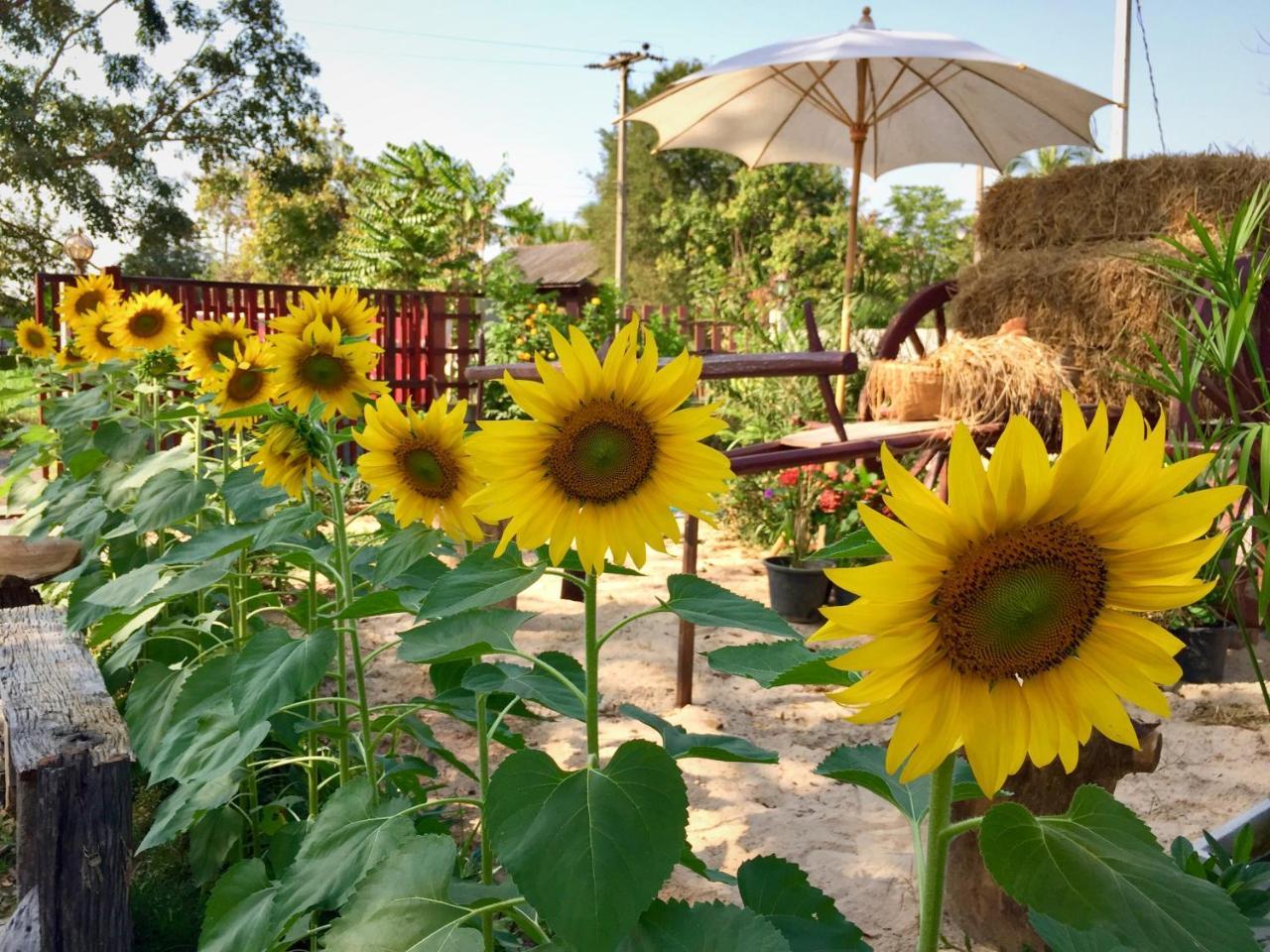Baan Thung Home Stay Prasat Exterior foto