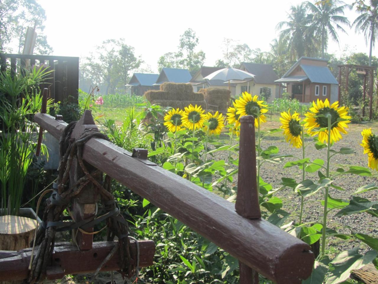 Baan Thung Home Stay Prasat Exterior foto