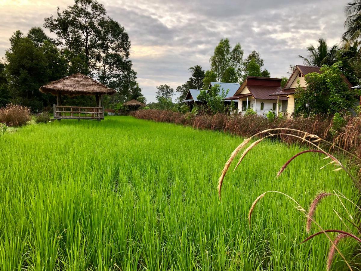 Baan Thung Home Stay Prasat Exterior foto