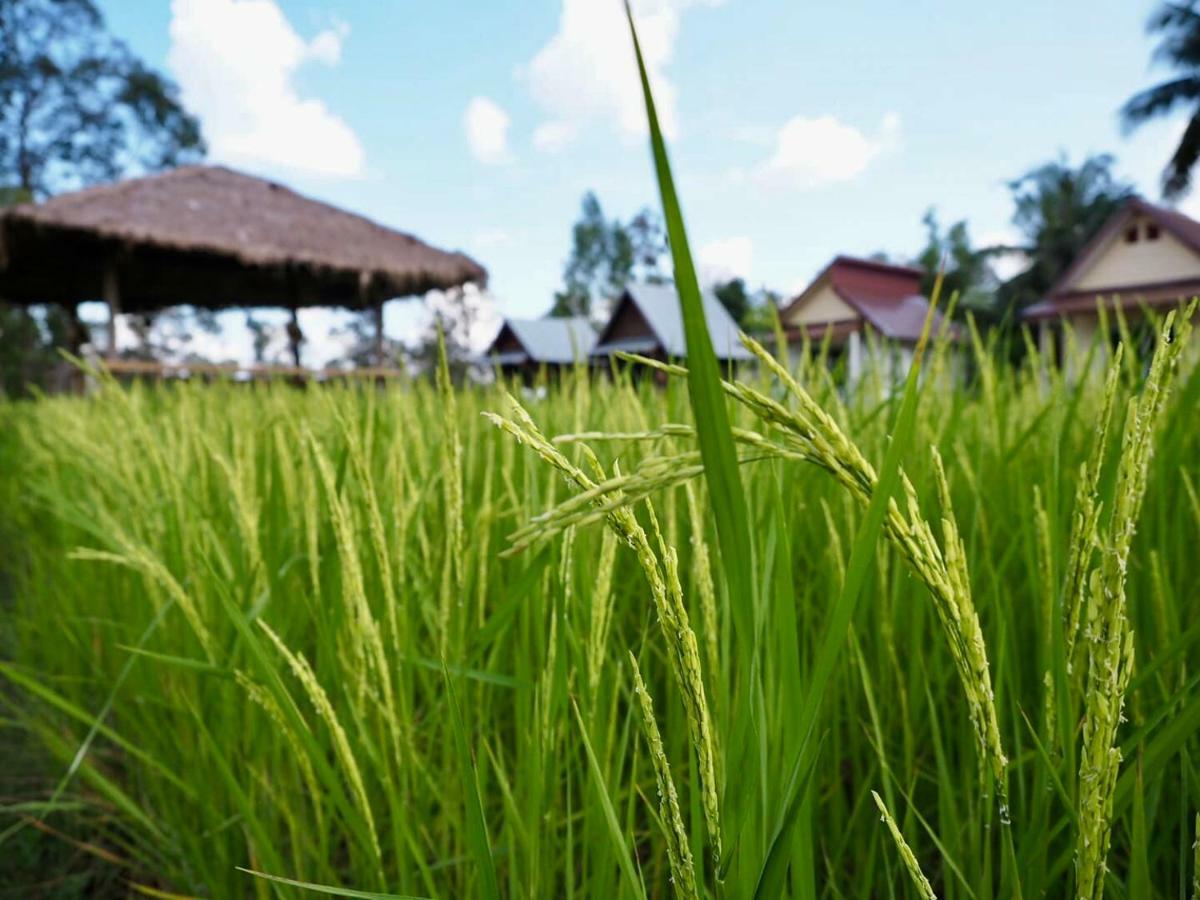 Baan Thung Home Stay Prasat Exterior foto