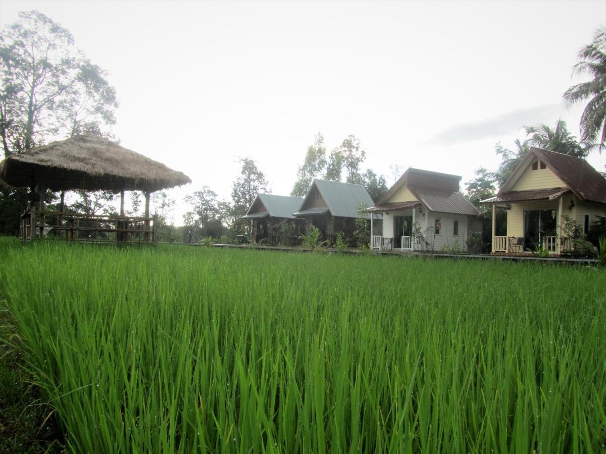 Baan Thung Home Stay Prasat Exterior foto