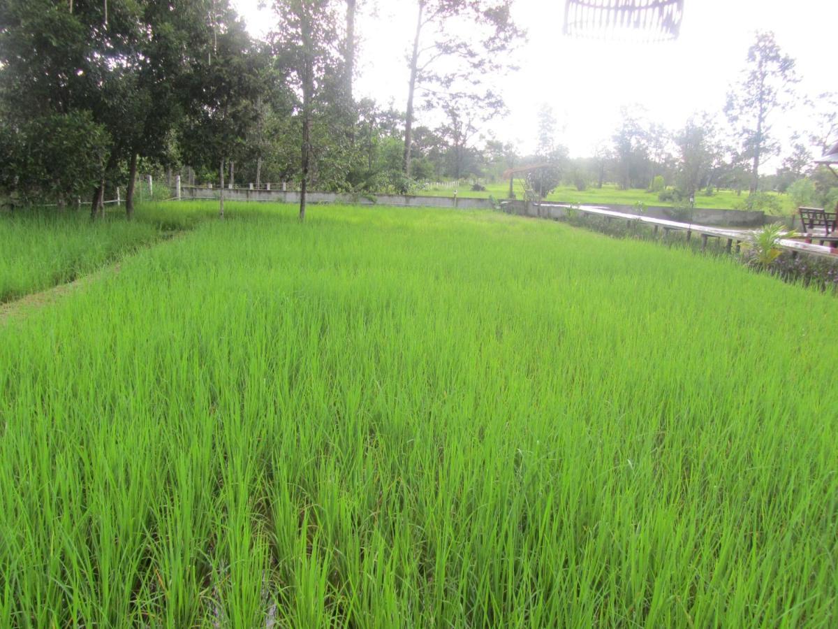 Baan Thung Home Stay Prasat Exterior foto